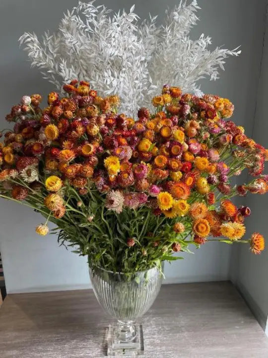 In Style 1magnolialane