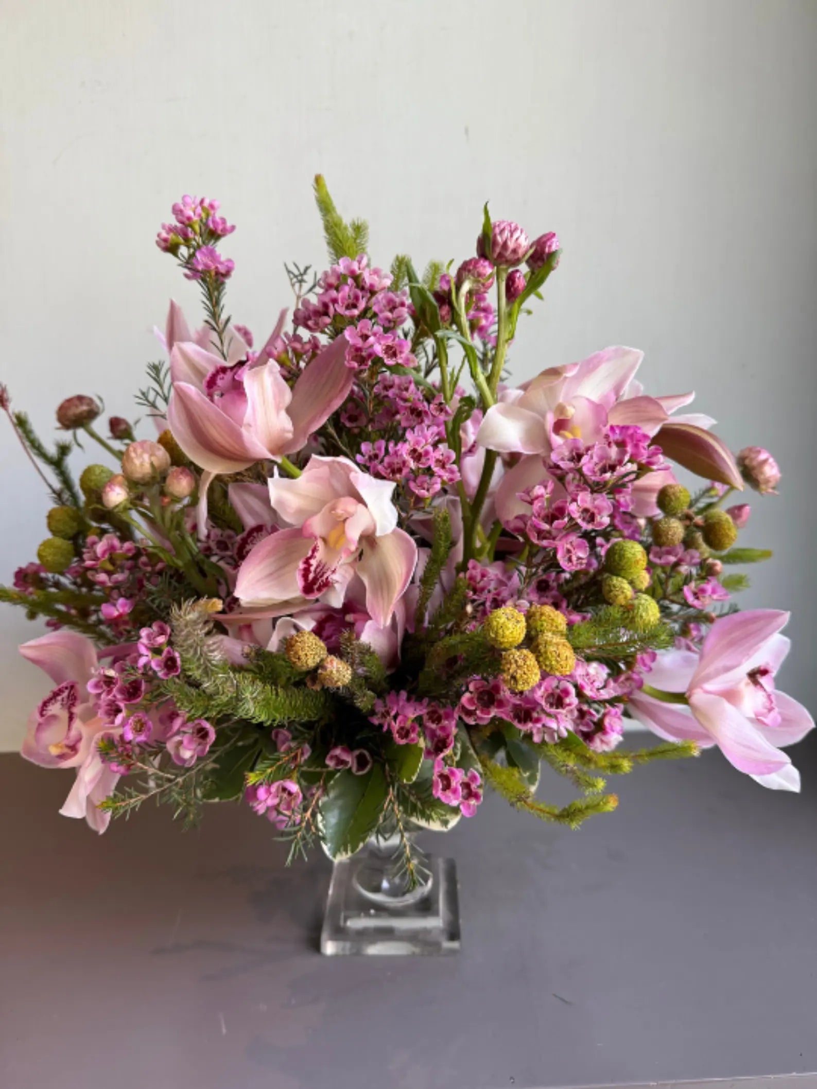 Freedom Of Speech 1magnolialane