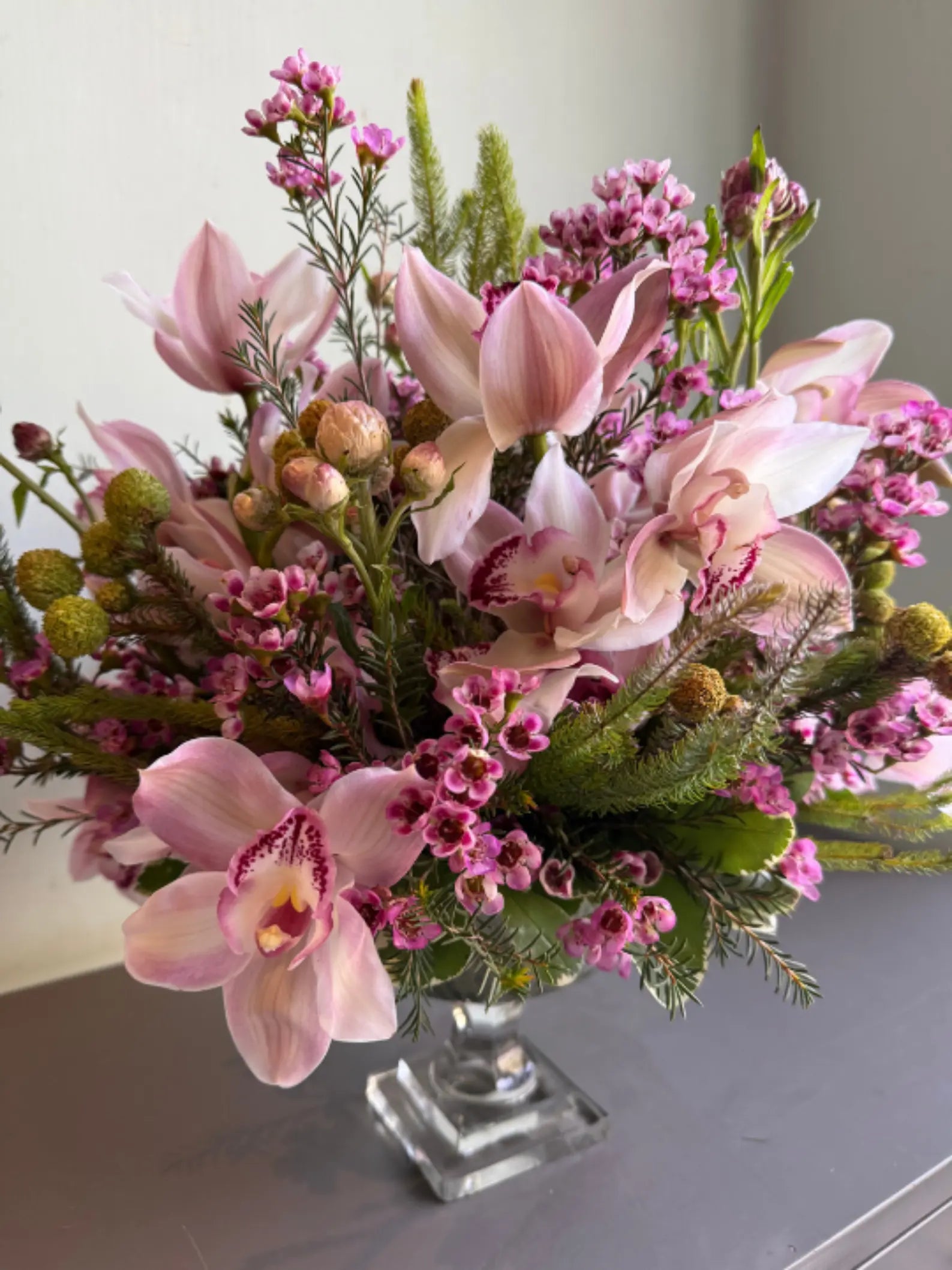 Freedom Of Speech 1magnolialane