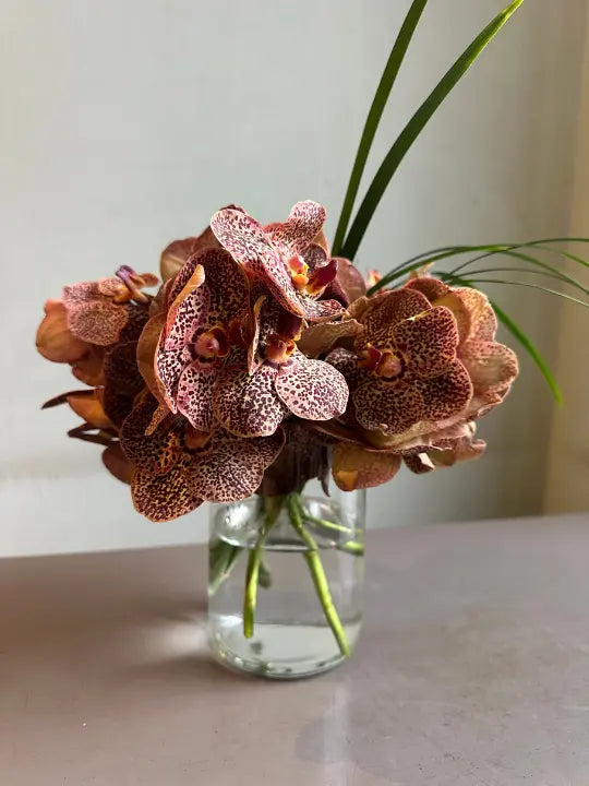 Wildflower Bronze 1magnolialane