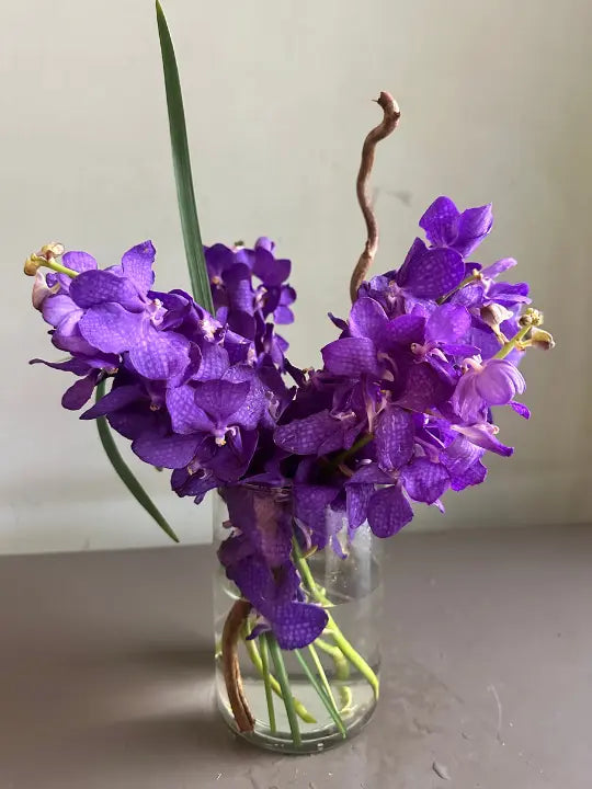 Crown Chakra 1magnolialane