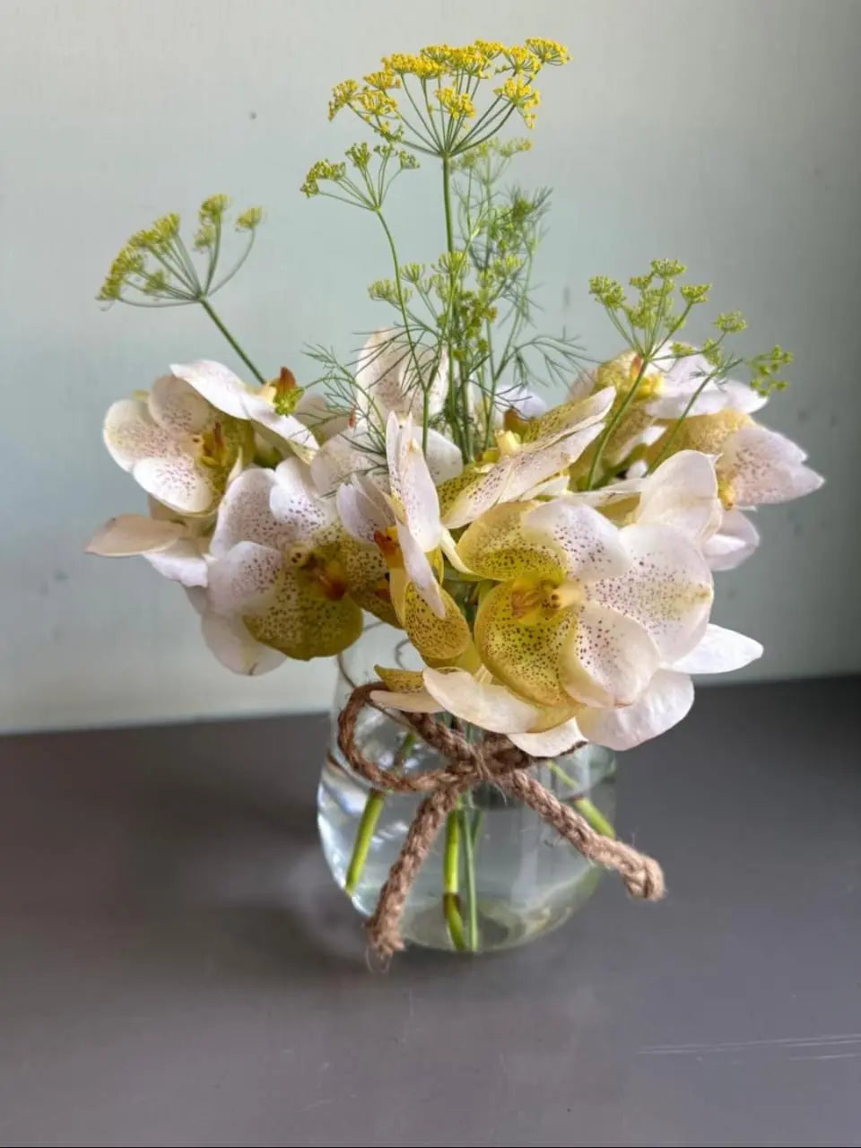 White Vanda 1magnolialane