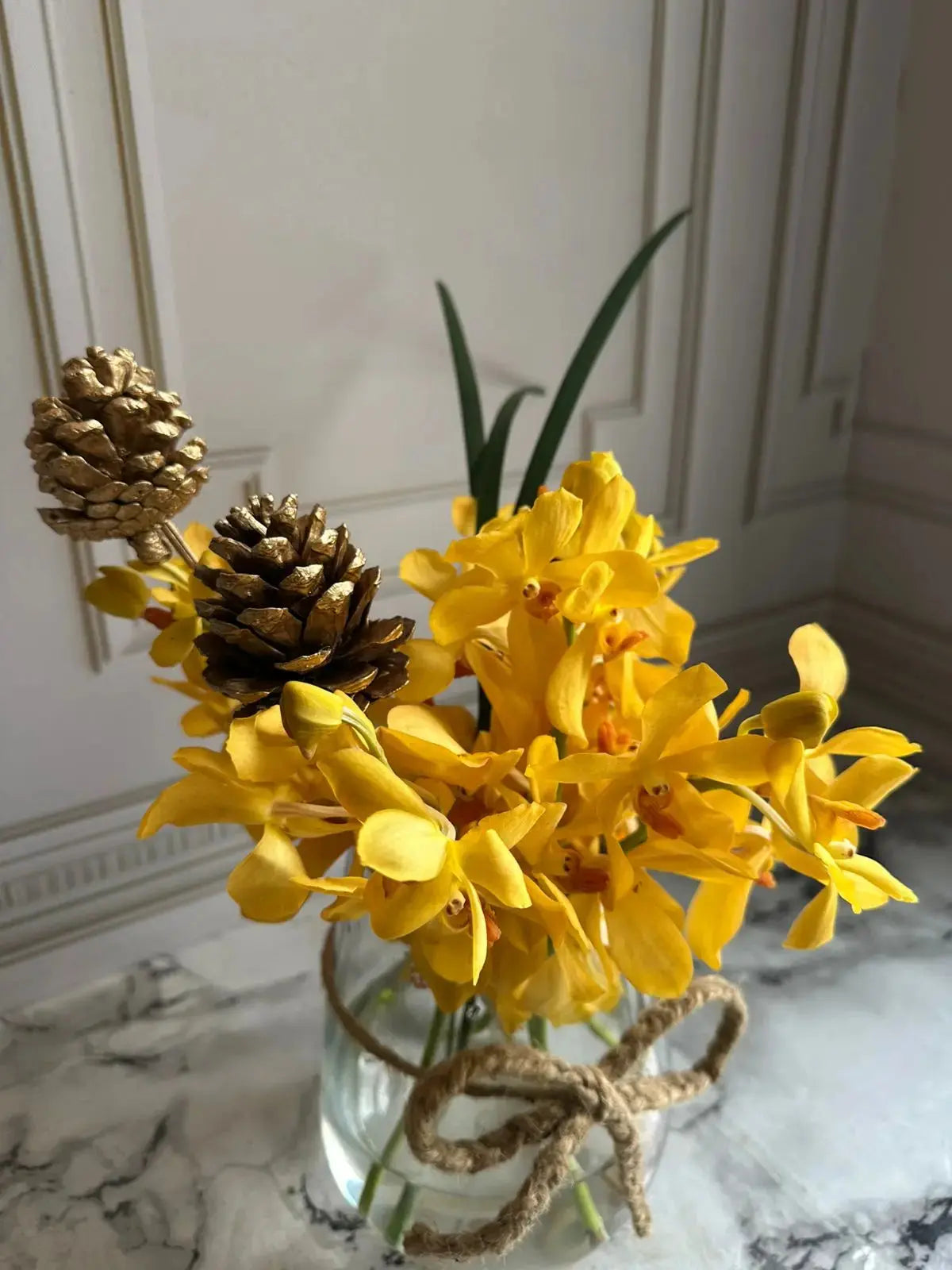 Sundazed 1magnolialane