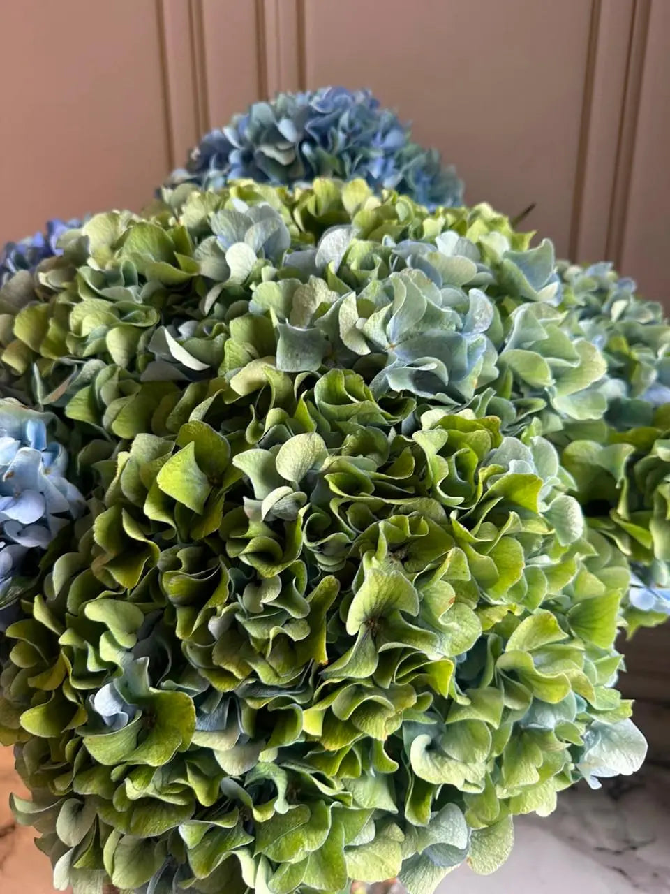 Jade & Sapphire 1magnolialane
