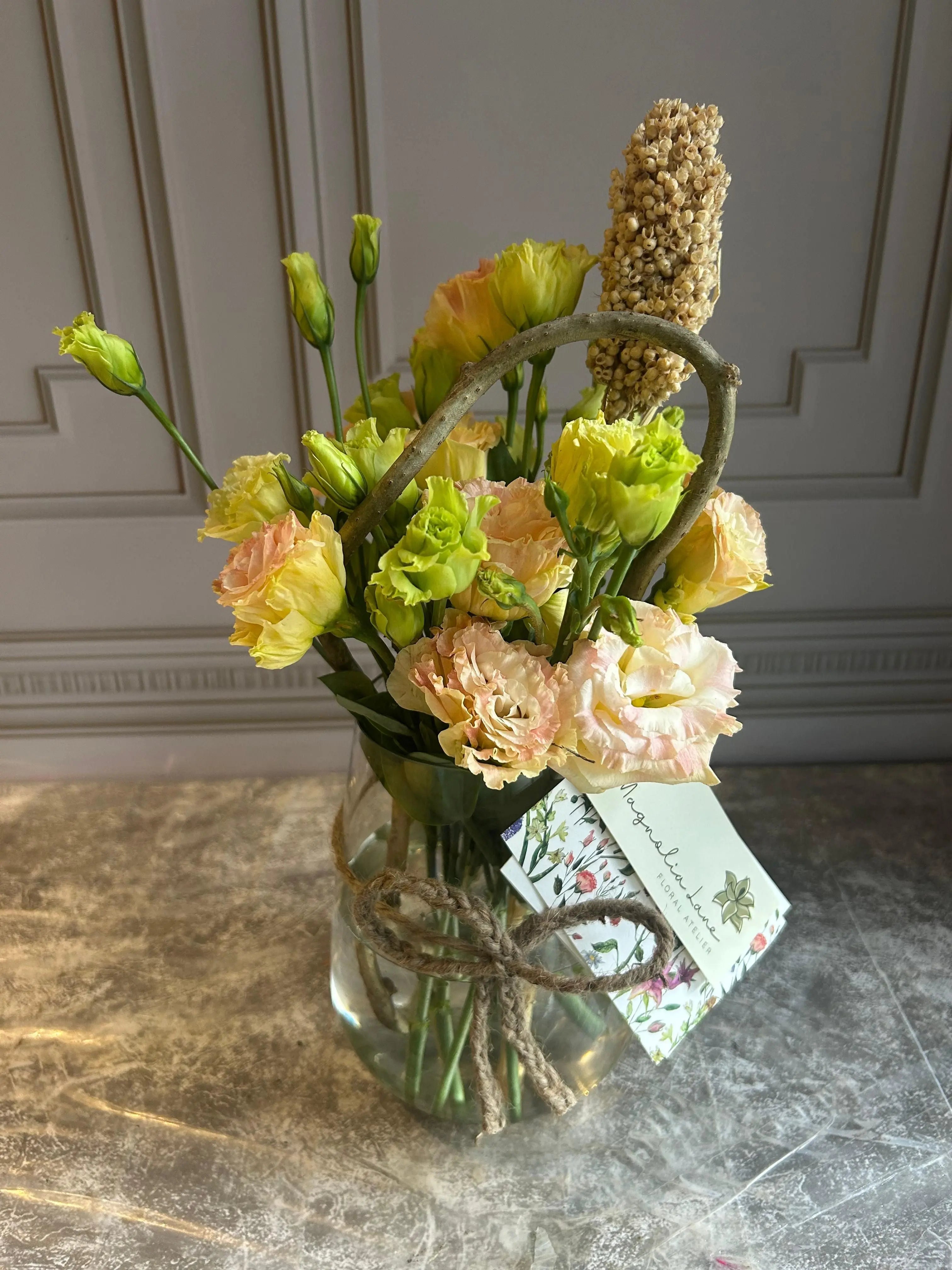 Chrysalis 1magnolialane