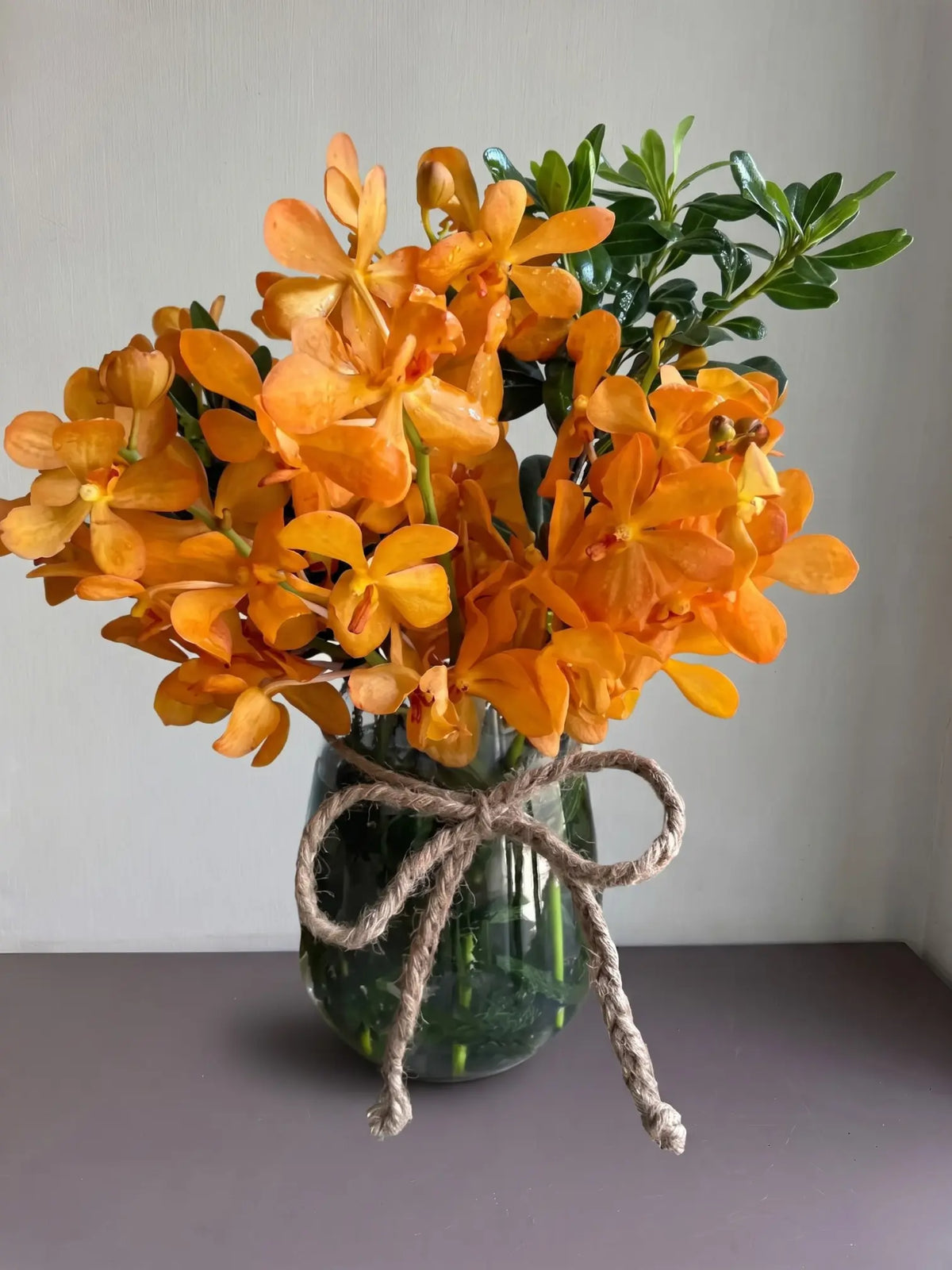 Teddy Bear by 1 Magnolia Lane - image 1
