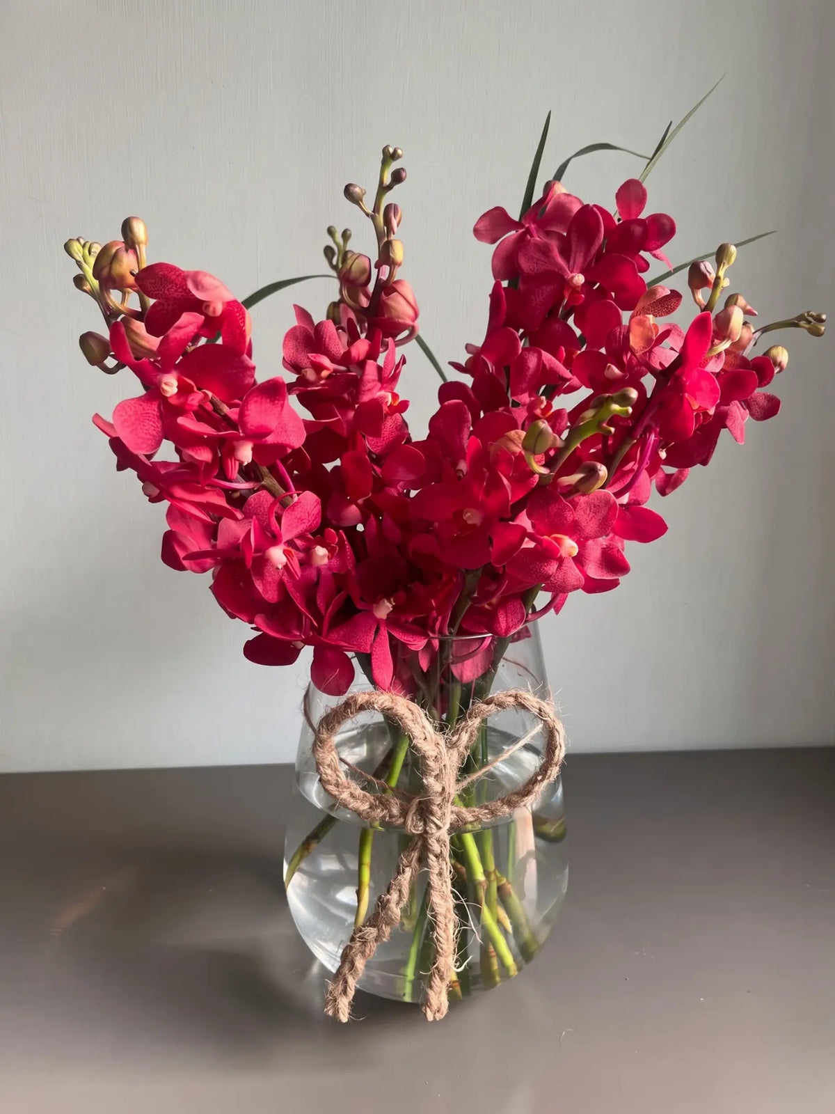 Rainbow Red by 1 Magnolia Lane - image 1