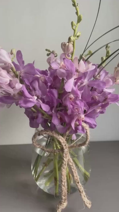 Pookie by 1 Magnolia Lane - video
