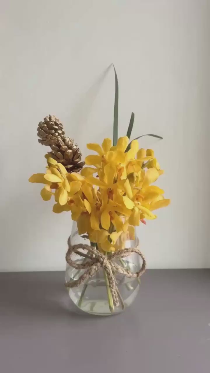 Sundazed by 1 Magnolia Lane - video