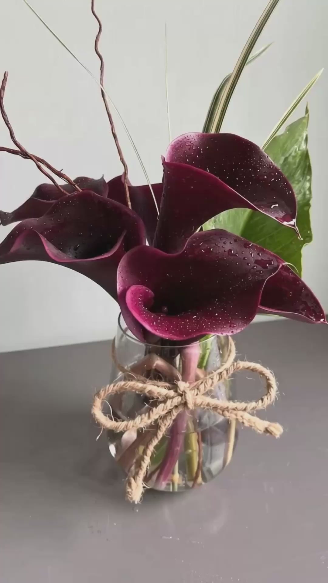 Calla Baby by 1 Magnolia Lane - video