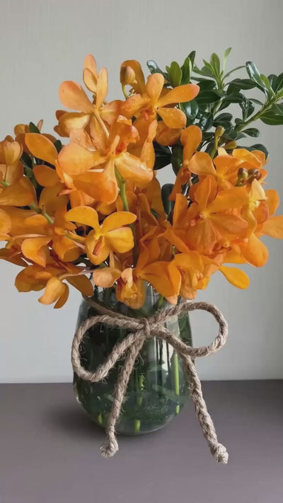 Teddy Bear by 1 Magnolia Lane - video