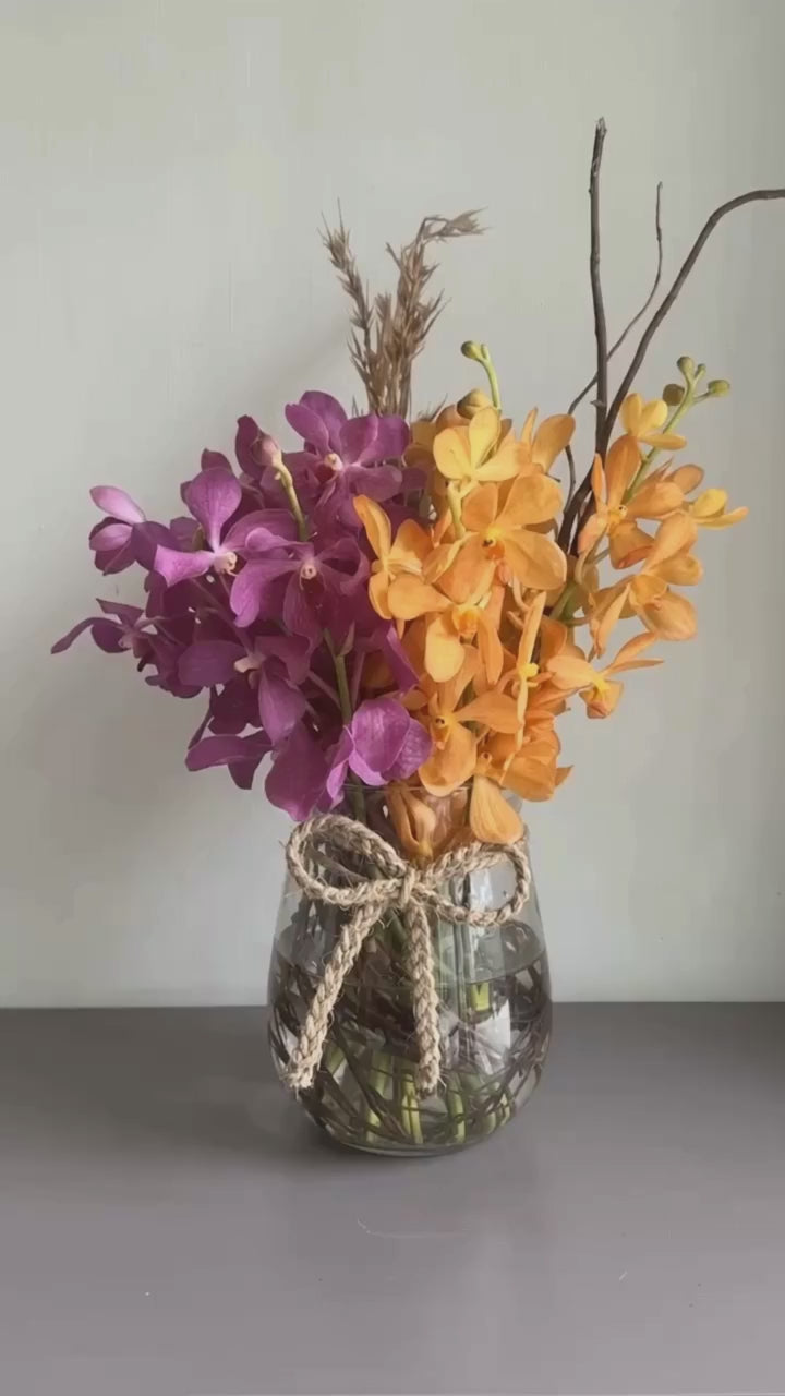 Isleen by 1 Magnolia Lane - video