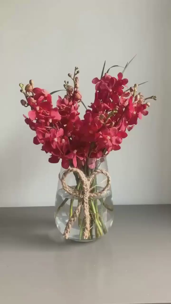 Rainbow Red by 1 Magnolia Lane - video
