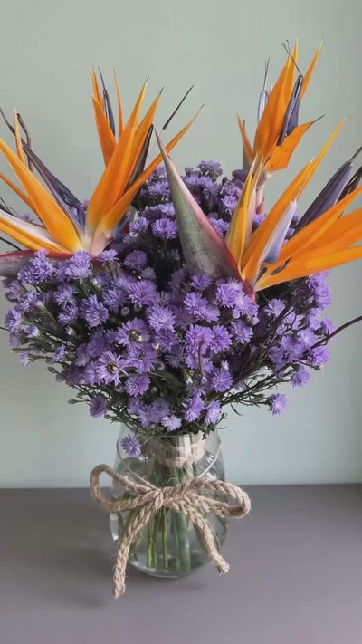 Snickerdoodle by 1 Magnolia Lane - video