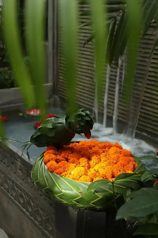 Tota Raja 1magnolialane