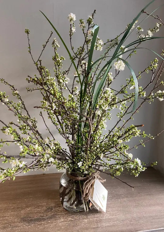 Plum Blossoms 1magnolialane