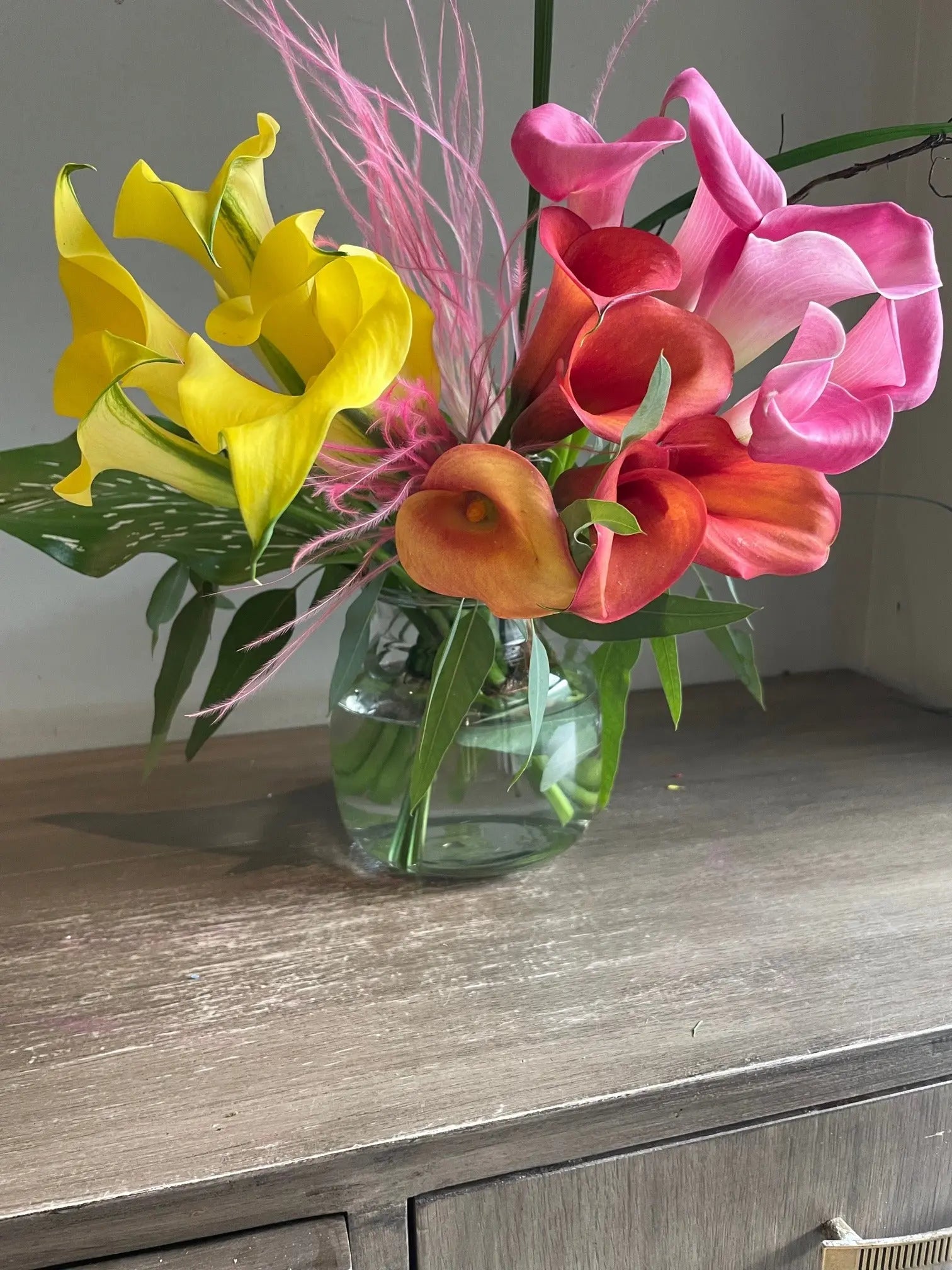 Calla Pops 1magnolialane