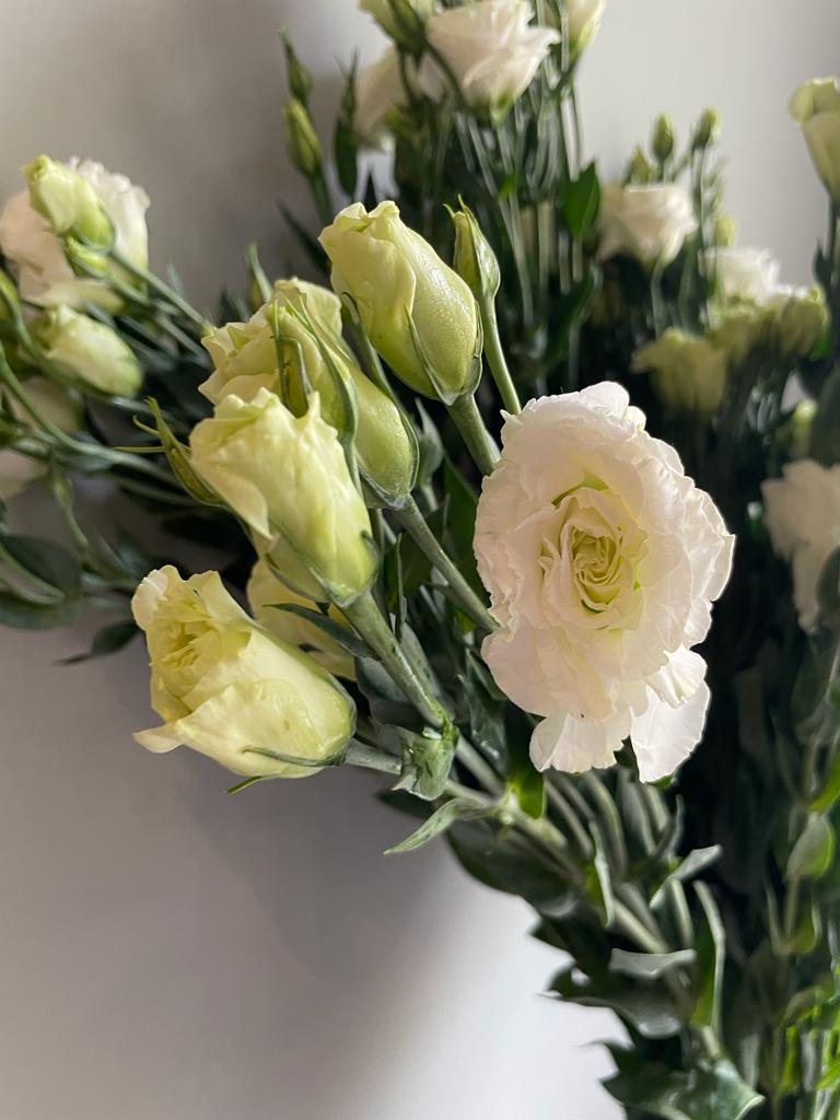 Lisianthus