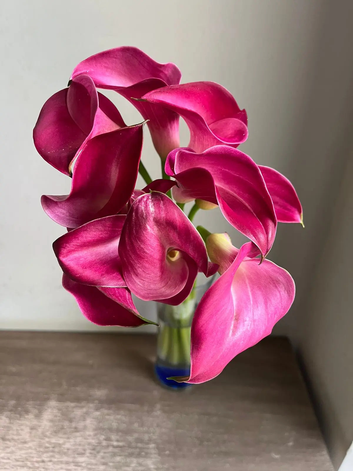 Calla Lily 1magnolialane