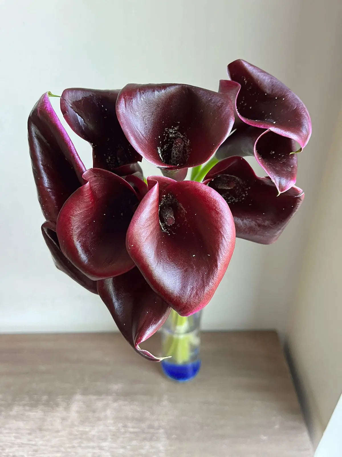 Calla Lily 1magnolialane