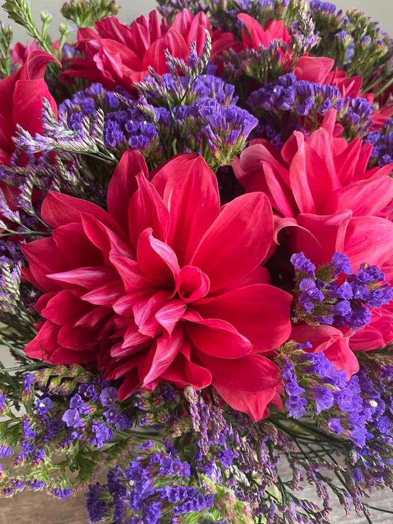 Dunked 1magnolialane