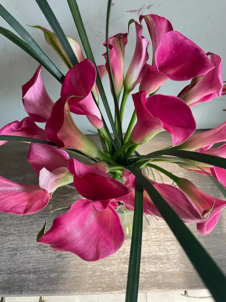 Blushing Beauties 1magnolialane