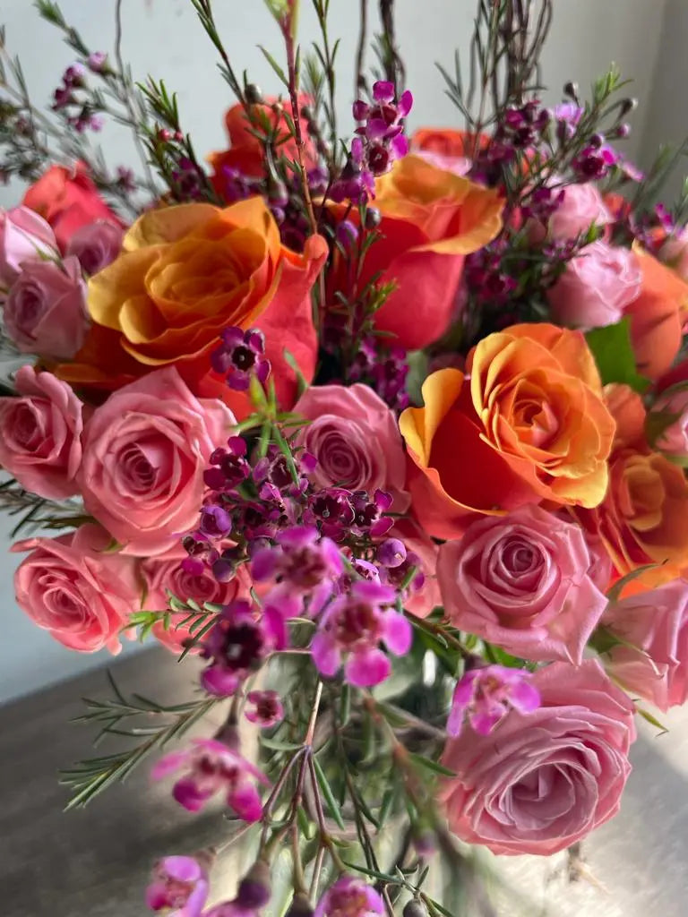 The Dazzlers 1magnolialane